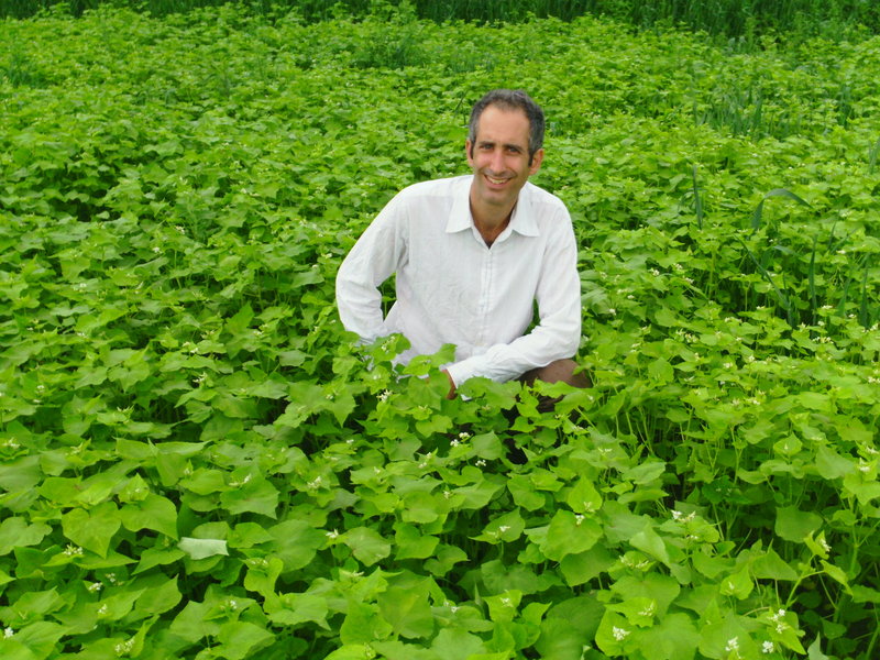 Matthew in a field of buckwheat.