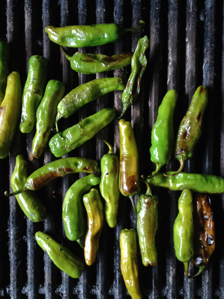 grilled shishito peppers
